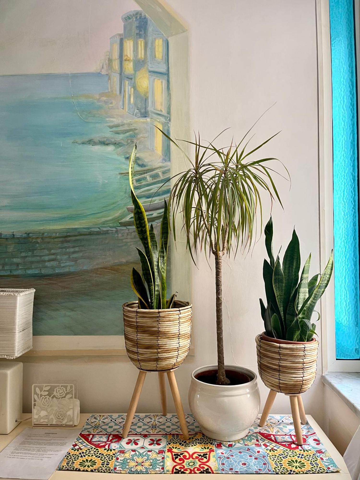 Casa Vacanze Seahorse 萨莱诺 外观 照片